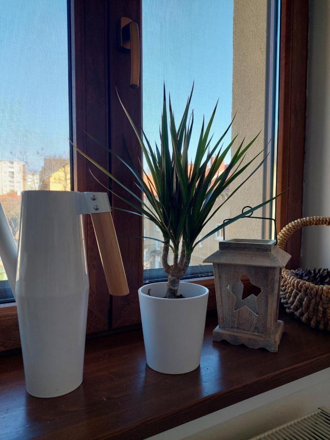 Emily Apartment Кошице Экстерьер фото