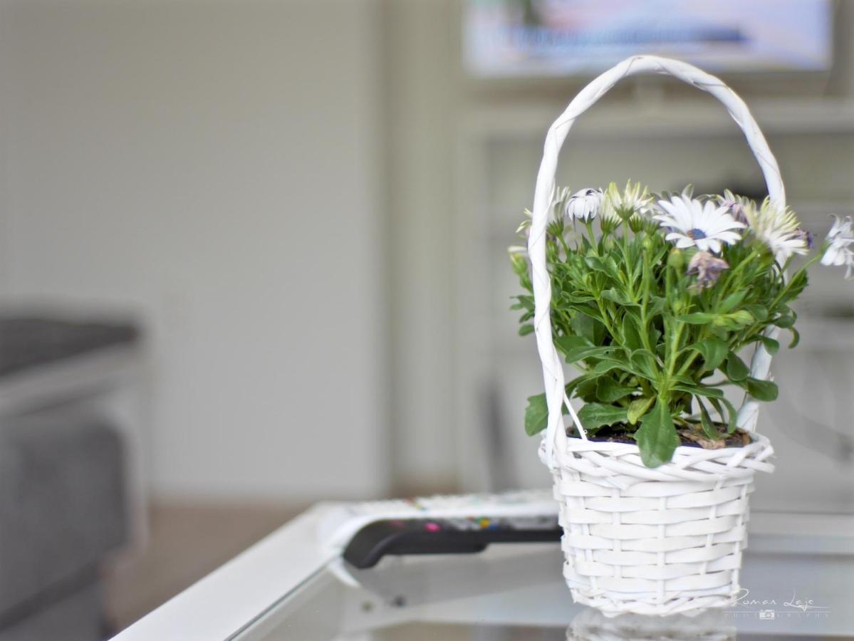 Emily Apartment Кошице Экстерьер фото